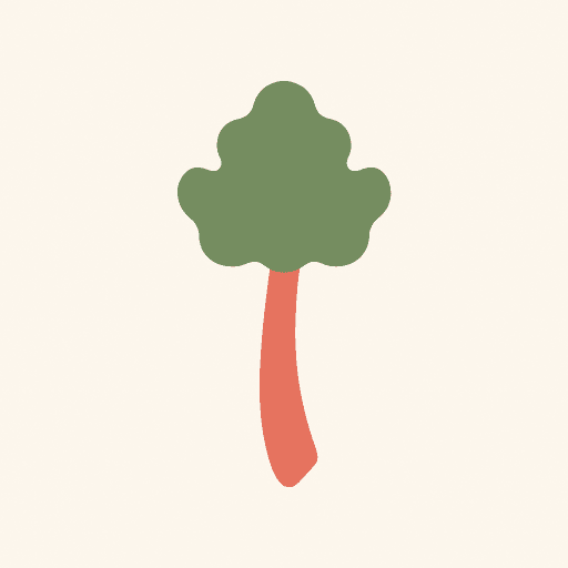 Rhubarb
